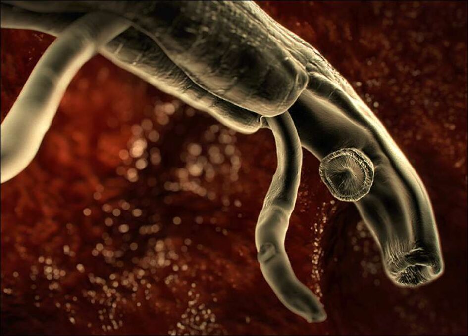 parasites à l'intérieur du corps humain